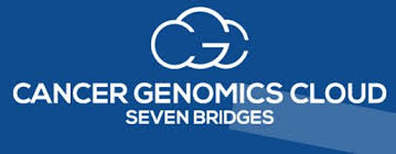 NCI Cancer Genomics Cloud logo